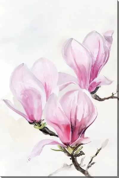 Картина маслом Распускающиеся цветки магнолии