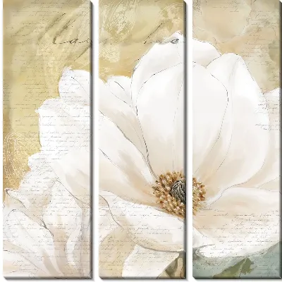 Модульная картина Magnolia