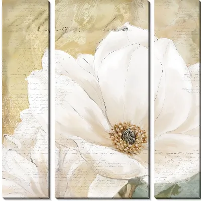 Модульная картина Magnolia