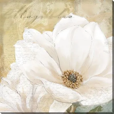 Картина маслом Magnolia