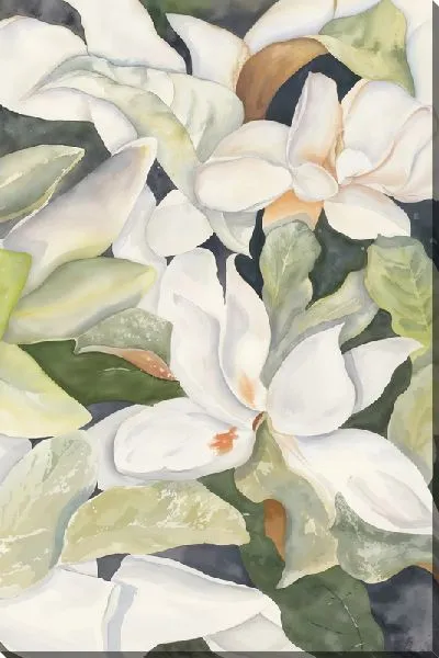 Картина маслом White magnolia