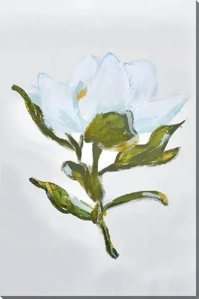 Картина маслом Белоснежная магнолия на белом фоне