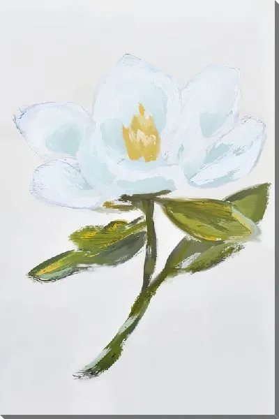 Картина маслом Белоснежная магнолия на белом фоне №2