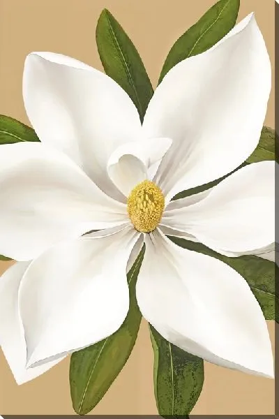 Картина маслом Магнолия с лепестками