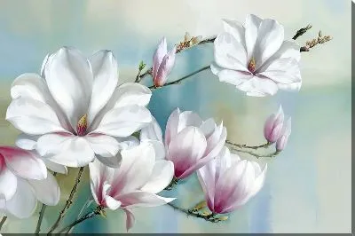 Постер Композиция с магнолиями пастельных тонов