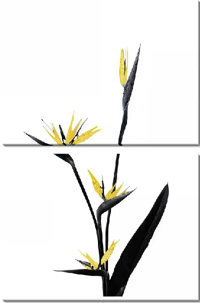 Модульная картина Стрелиция королевская с золотыми цветками