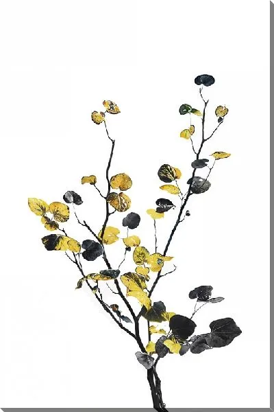 Картина маслом Растение черно-золотистое
