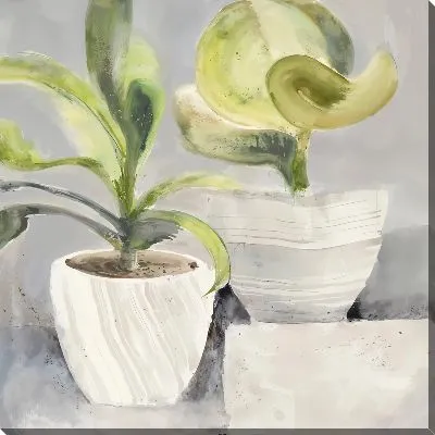 Картина маслом Растения в горшках в стиле минимализм