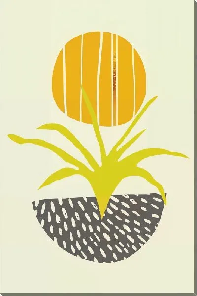 Постер Растения в кашпо на фоне Солнца