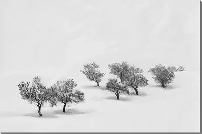 Картина маслом Деревья в белом песку