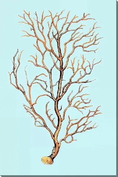 Картина маслом Высохшее растение