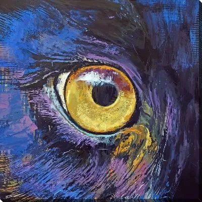 Глаз пантеры