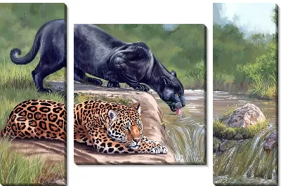Модульная картина Пантера и леопард на водопое