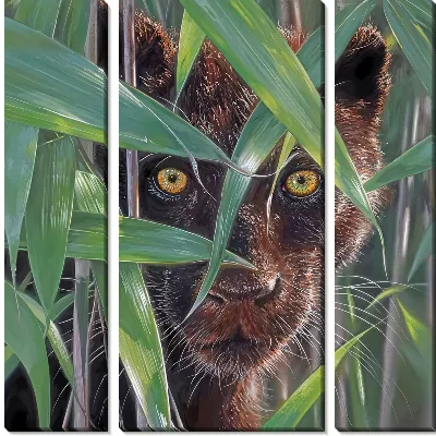Модульная картина Взгляд пантеры из-за травы