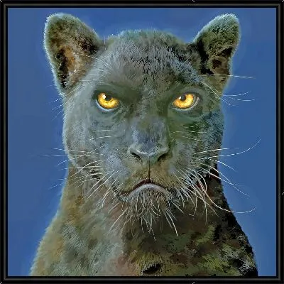 Недовольная пантера