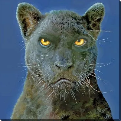 Недовольная пантера