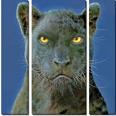 Недовольная пантера