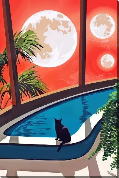 Постер Кошка у бассейна и на фоне планет