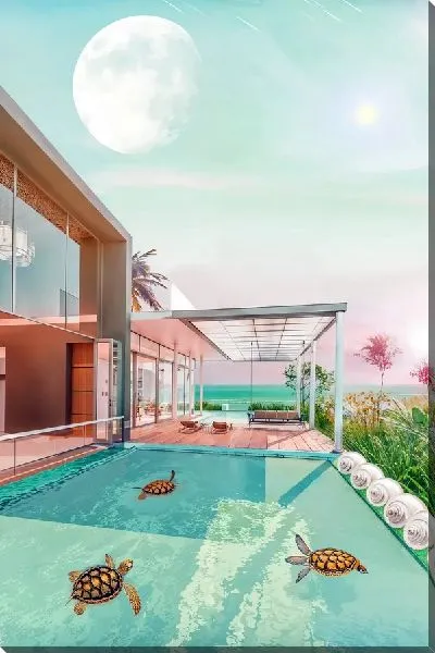 Постер Черепахи плавают в бассейне