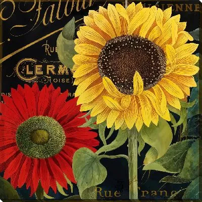 Подсолнух и гербера