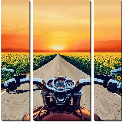 Модульная картина Мотоцикл на дороге между полями подсолнухов