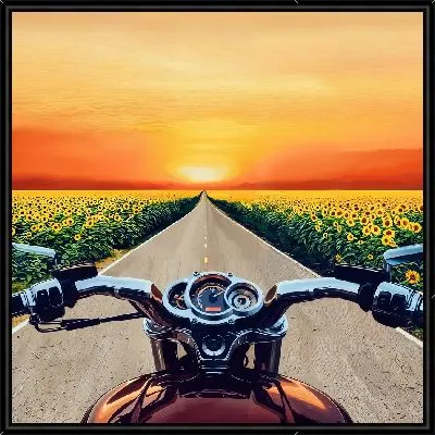Картина Мотоцикл на дороге между полями подсолнухов