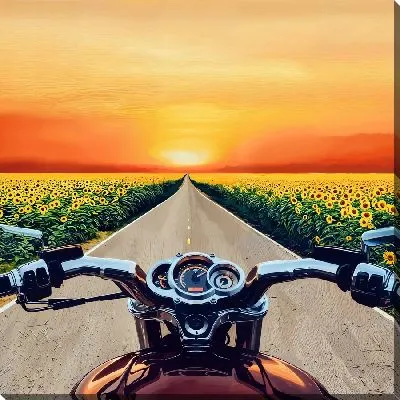 Картина маслом Мотоцикл на дороге между полями подсолнухов