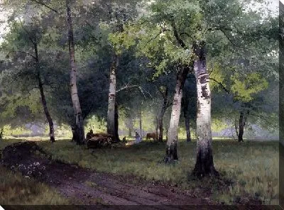 Берёзовый лес (Birch forest)