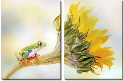 Модульная картина Лягушка на подсолнухе
