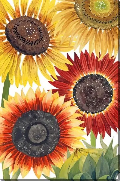 Картина маслом Красные и желтые подсолнухи