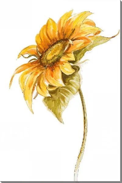 Картина маслом Рисунок подсолнуха