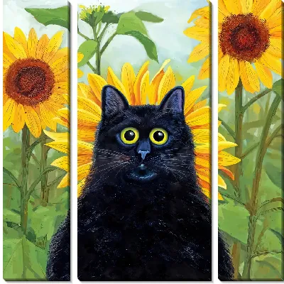 Черный кот на фоне подсолнухов
