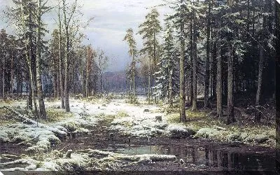 Картина Первый снег