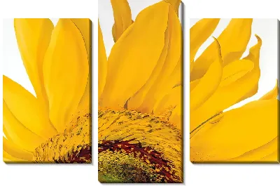 Модульная картина Лепестки подсолнухов