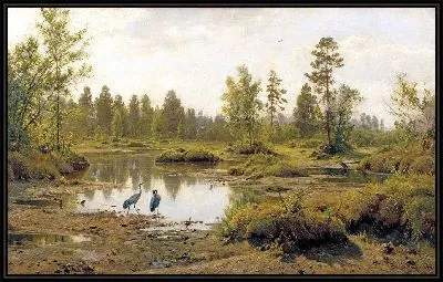 Болото. Журавли