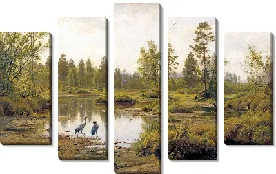 Болото. Журавли