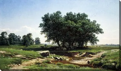 Дубки (Oaks)