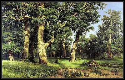 Дубовая роща