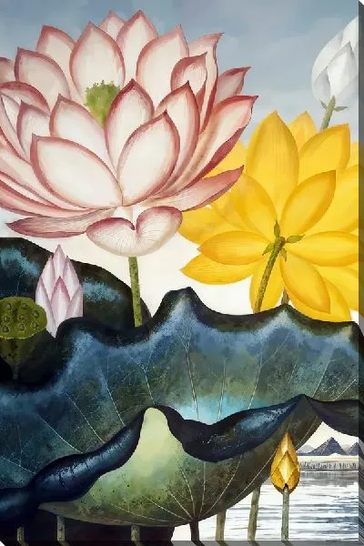 Постер Разноцветные лотосы