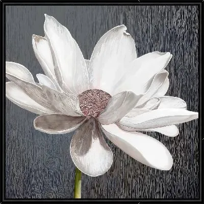 Цветок лотоса №2