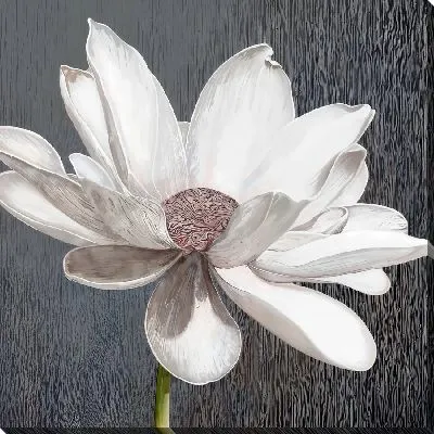 Цветок лотоса №2