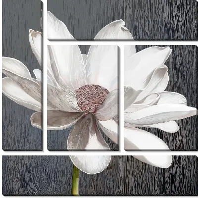 Цветок лотоса №2