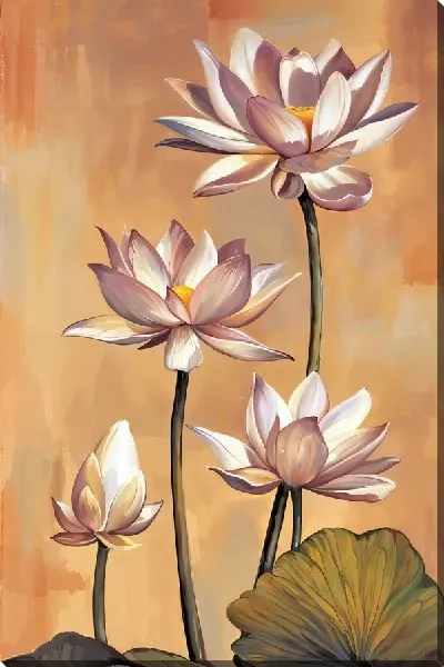 Постер 4 лотоса