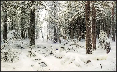 картина