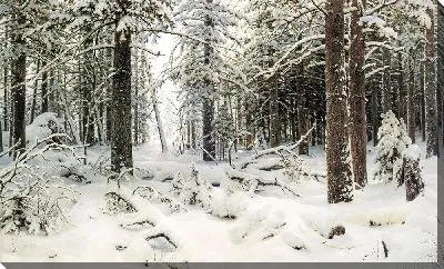 Картина Зима №2