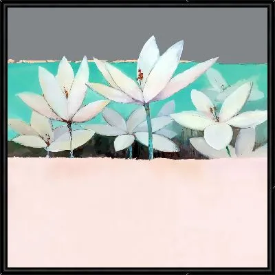 Белые лотосы с розовой полосой