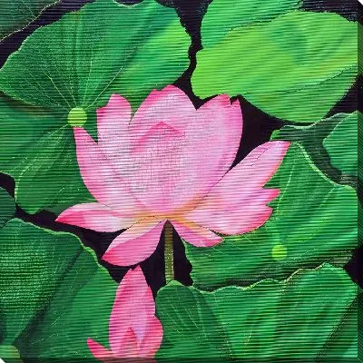 Розовый лотос и листья