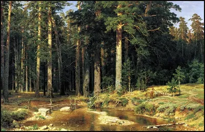 картина