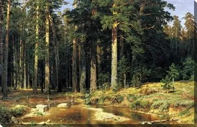 Корабельная роща