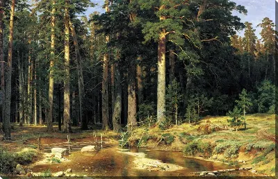 картина